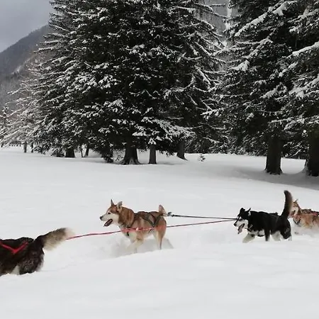公寓 Evasion Serenite A Mont-blanc