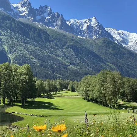 Evasion Serenite A Mont-blanc Apartment Chamonix