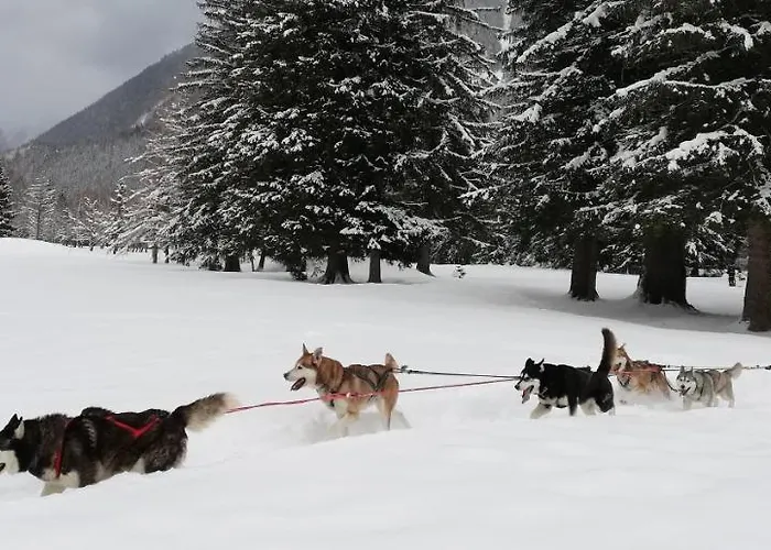 Lejlighed Evasion Serenite A Mont-blanc